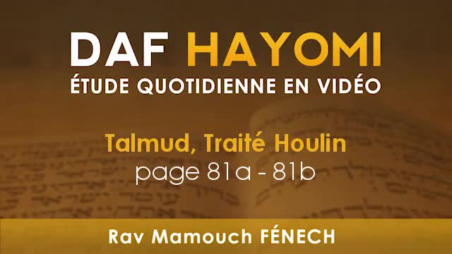 Daf Hayomi - 'Houlin 81 avec Rav Mamouch Fénech