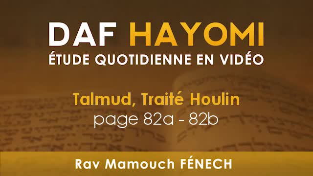 Daf Hayomi - 'Houlin 82 avec Rav Mamouch Fénech