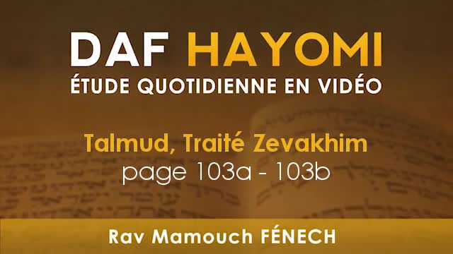 Daf Hayomi - Zevakhim 103 avec Rav Mamouch Fénech