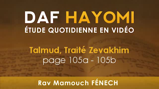 Daf Hayomi - Zevakhim 105 avec Rav Mamouch Fénech
