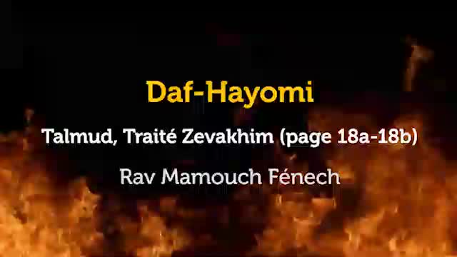 Daf Hayomi - Zevakhim 18 avec Rav Mamouch Fénech