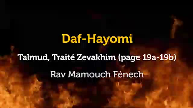 Daf Hayomi - Zevakhim 19 avec Rav Mamouch Fénech