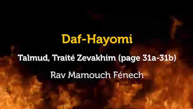 Daf Hayomi - Zevakhim 31 avec Rav Mamouch Fénech