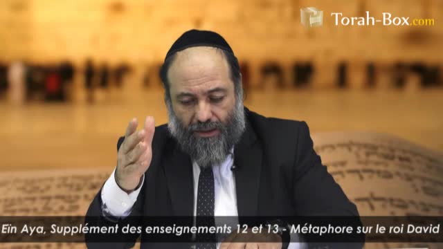 Enseignements n°12 & 13