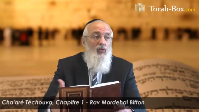 Portique 1 : les voies par lesquelles l'homme fait Téchouva