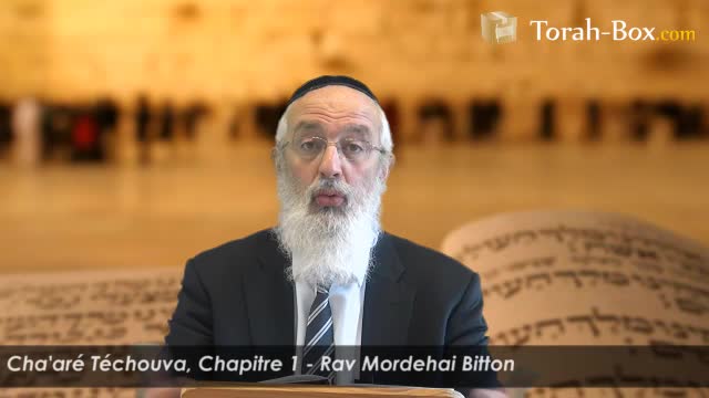 Portique 1 : les voies par lesquelles l'homme fait Téchouva