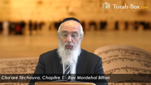 Portique 1 : les voies par lesquelles l'homme fait Téchouva