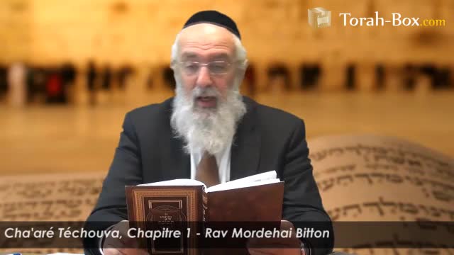 Portique 1 : les voies par lesquelles l'homme fait Téchouva