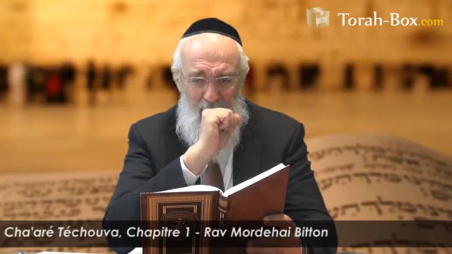 Portique 1 : les voies par lesquelles l'homme fait Téchouva