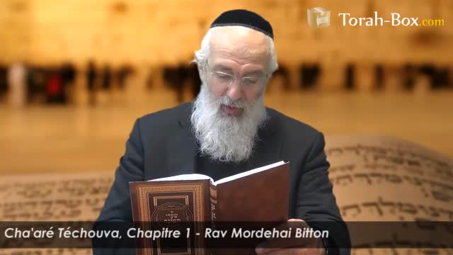 Portique 1 : les voies par lesquelles l'homme fait Téchouva