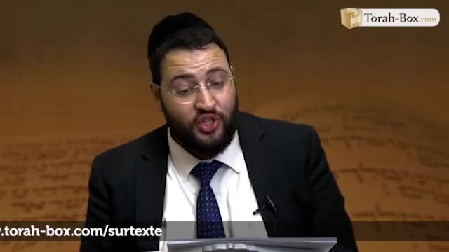 Brakhot 57a - J'ai rêvé d’un serpent, d’une forêt... significations