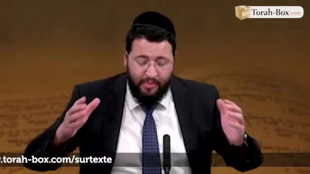 Brakhot 57a - J'ai rêvé d'une vigne, d'un olivier... significations