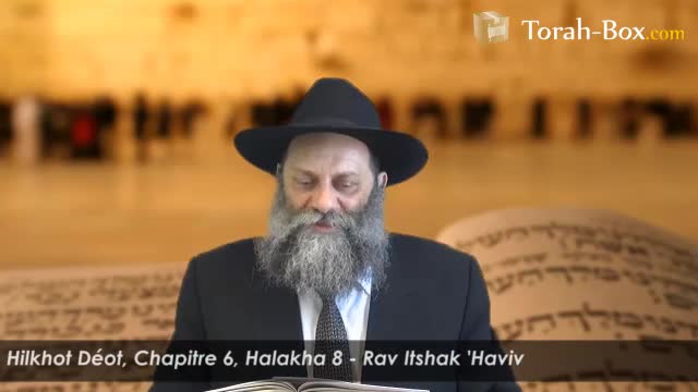 Halakha  8