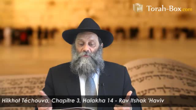 Halakha  14