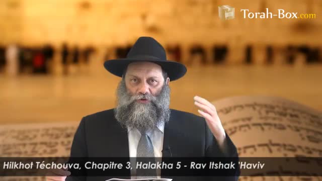 Halakha  5