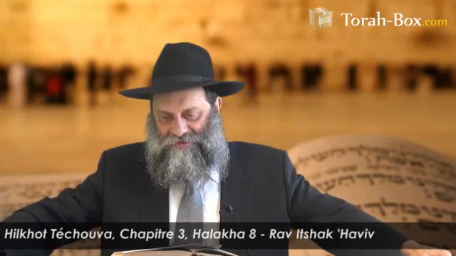 Halakha  8