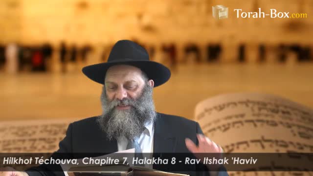 Halakha  8