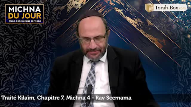 Traité Kilaïm - Chapitre 7, Michna 4