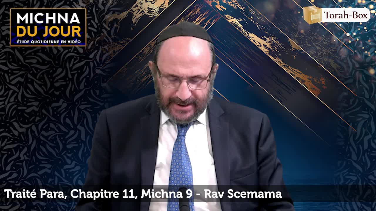 Para - Chapitre 11, Michna 9