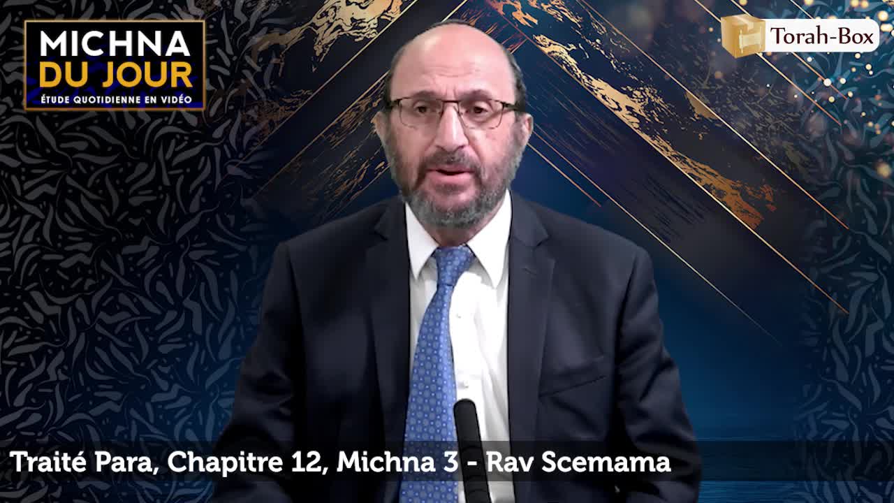 Para - Chapitre 12, Michna 3