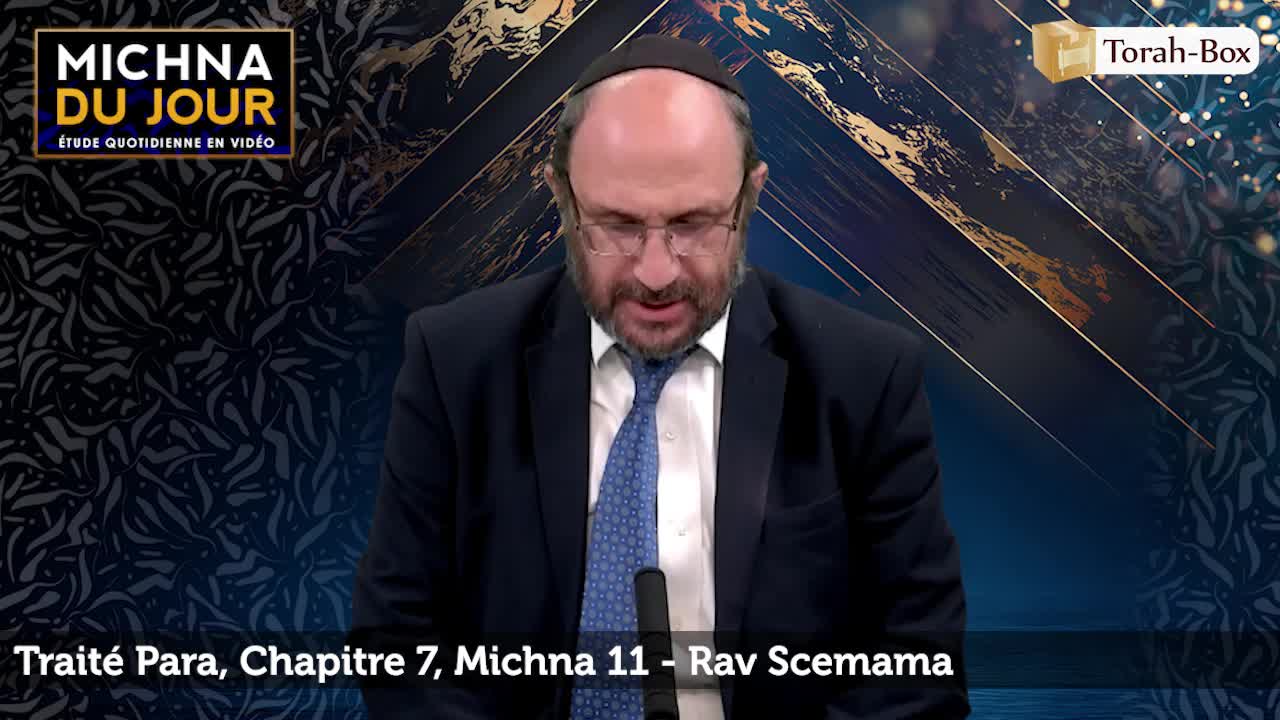 Para - Chapitre 7, Michna 11