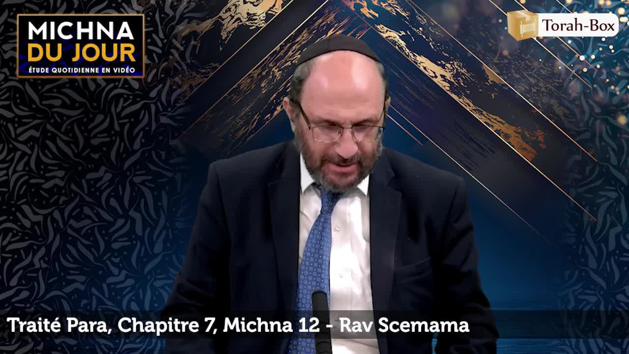 Para - Chapitre 7, Michna 12