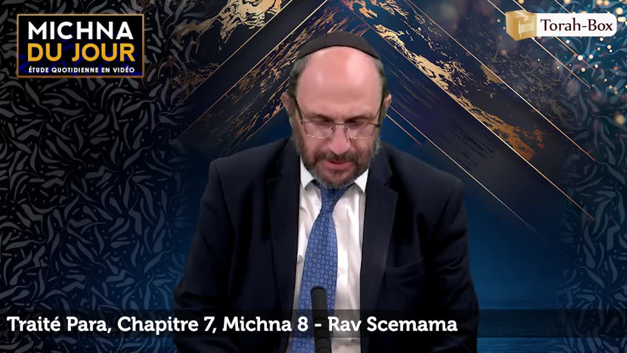 Para - Chapitre 7, Michna 8 episode artwork