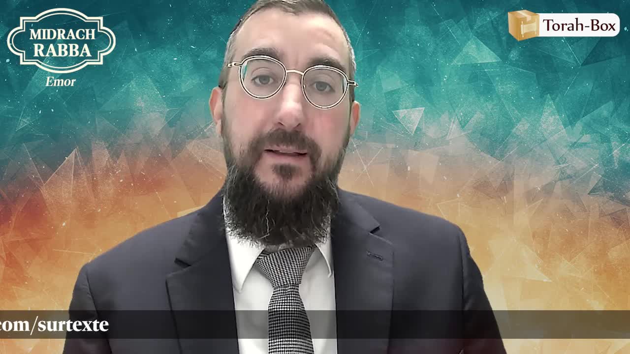 Emor (30, 8 à 11) - Les 4 espèces