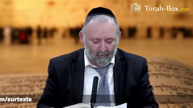 Béréchit : l'épreuve de l'arbre de la connaissance