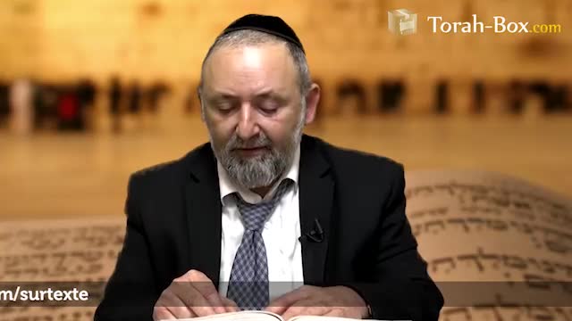 Béréchit : l'épreuve de l'arbre de la connaissance