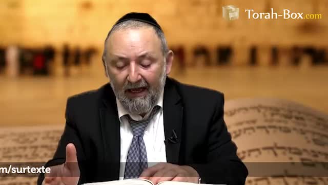 Béréchit : l'épreuve de l'arbre de la connaissance