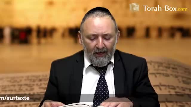 Béréchit : l'épreuve de l'arbre de la connaissance