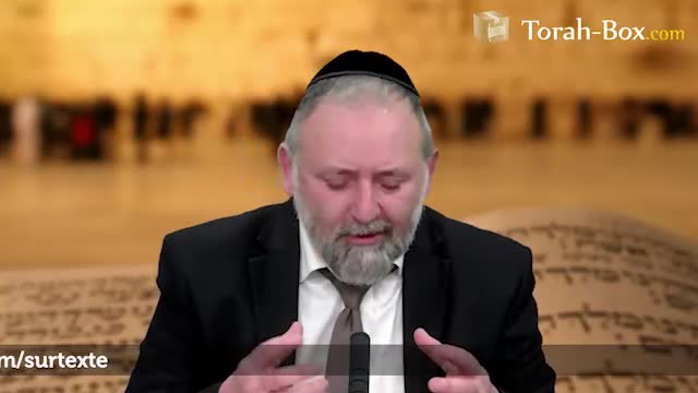 Chémini, La faute de Nadav et Avihou