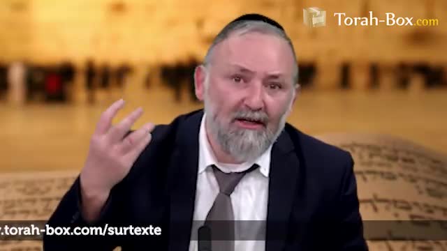 Nos ancêtres étudiaient la racine de la Torah
