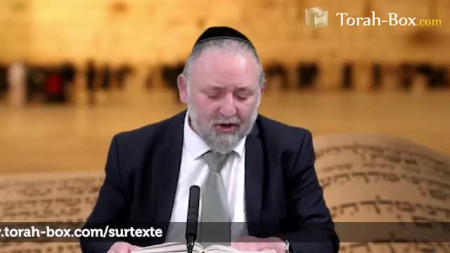 Une génération où personne n'est méritant