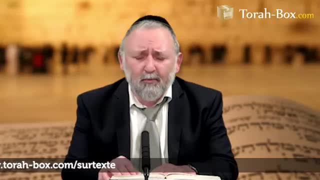 Le niveau de Pervoyance le plus éclaircit