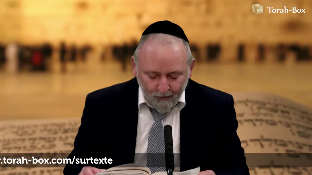 Notre capacité de percevoir les choses