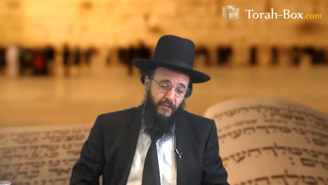 L'hypocrisie et la mauvaise foi