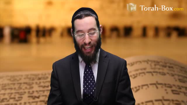 Ahava Lakadoch Baroukh Hou - Amour d'Hachem