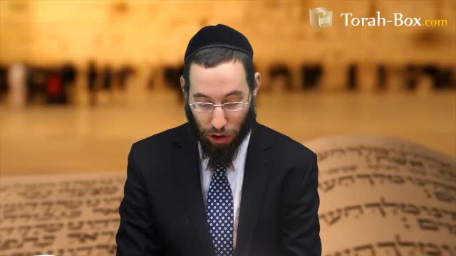 Ahava Lakadoch Baroukh Hou - Amour d'Hachem