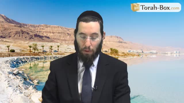 Apikoross - Épicurien