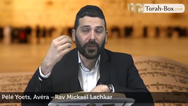 'Avera - Faute, transgression