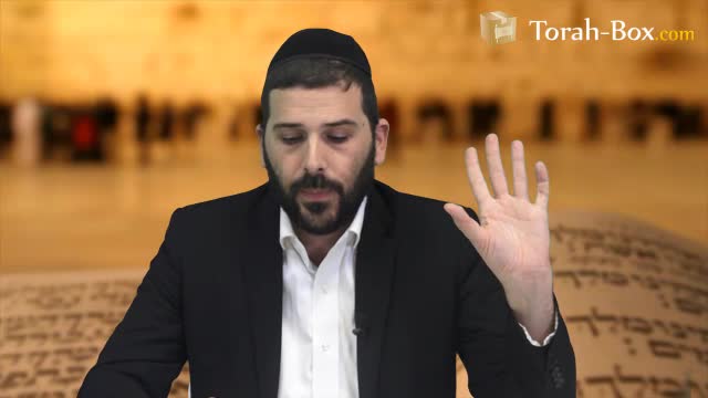 Bar Lévav - Honnête