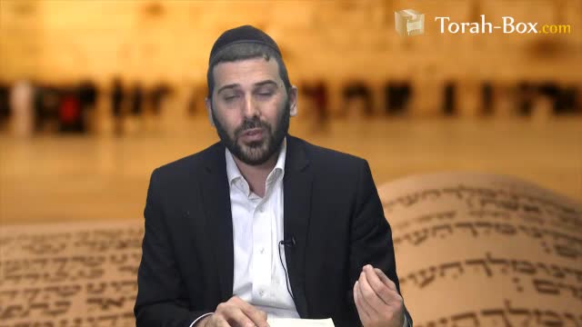 Bekhiya - Pleurs/désastre