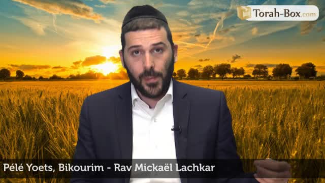 Bikourim - Prémices