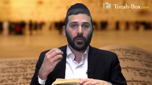 Hachvaa - Comparaison