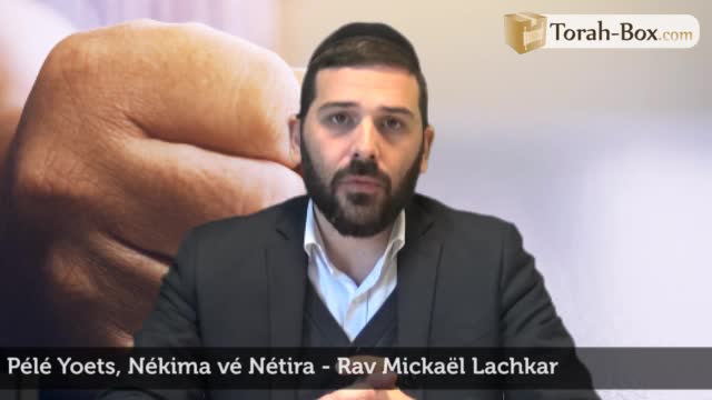 Nékima Vénétira - vengeance et rancune