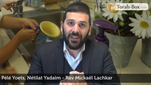 Nétilat Yadayim - ablution des mains