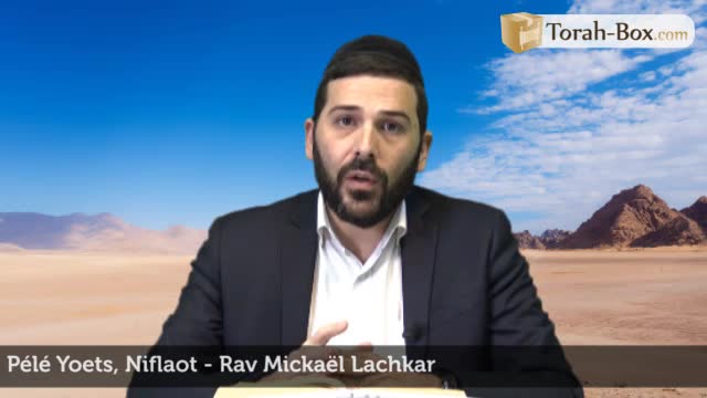 Niflaot - merveilles