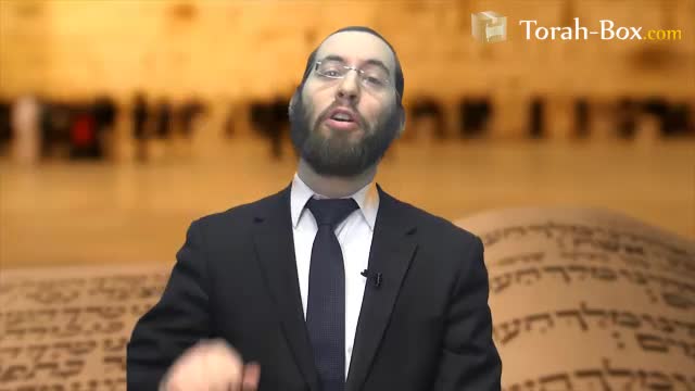 Oness - Cas de force majeure